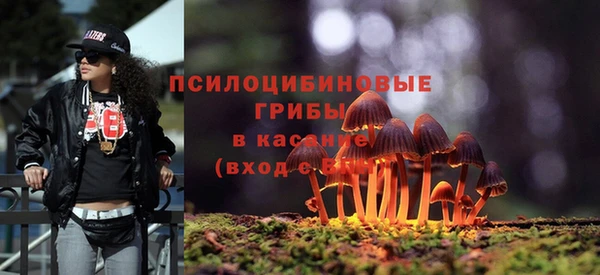 метадон Липки